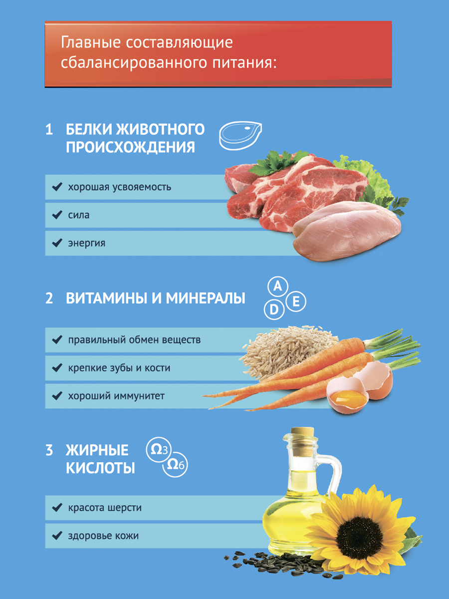 Сухой корм для собак PROХВОСТ мясное ассорти 13кг - изображение 6
